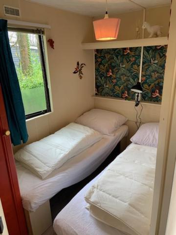 Stacaravan Huren In Het Hart Van Bosrijk Drenthe Op Recreatiepark De Tien Heugten Schoonloo Luaran gambar